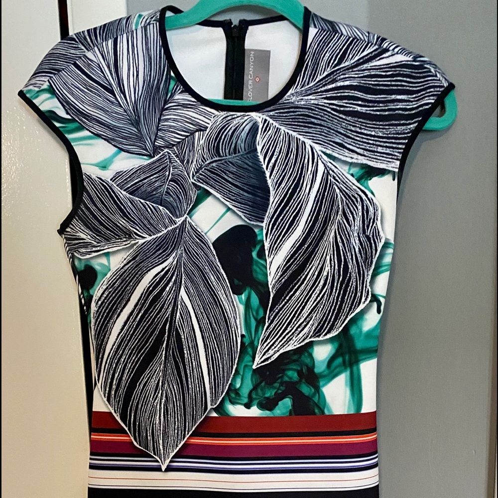 Abs. gorgeous Clover Canyon neoprene dress- small